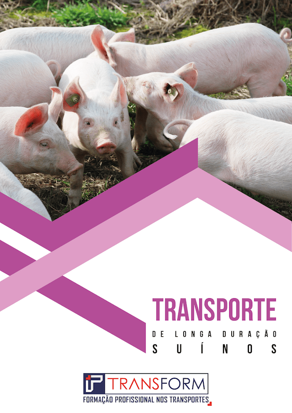 TRANSPORTE SUÍNOS©Transform2021-23